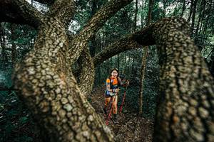 BIB: 
                            <button type="button" onclick="openModal(25394024)" class="btn btn-primary btn-sm float-right btn-popup" data-toggle="modal" data-target=".modal-high-quality">
                        <i class="fas fa-shopping-cart"></i> Add to Cart
                    </button>
                                            <button type="button" onclick="isThisMe(25394024, true)" class="btn btn-success btn-sm float-right btn-popup btn-isme hidden" data-toggle="tooltip" data-placement="bottom" title="นี่คือรูปของคุณใช่ไหม คลิกที่นี่เพื่อเอาเข้าอัลบั้ม">
                        <i class="fas fa-plus"></i> Add to album
                    </button>
                    <button type="button" onclick="isThisMe(25394024, false)" class="btn btn-warning btn-sm float-right btn-popup btn-isnotme hidden">
                        <i class="fas fa-ban"></i> Remove from album
                    </button>